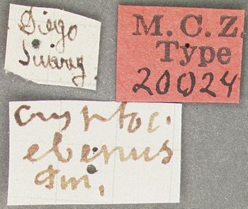 Media type: image; Entomology 20024   Aspect: labels